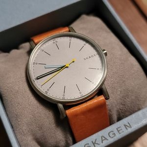 Skagen Signatur Watch